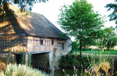 Tronchy House | Moulin de la Coudre - Tronchy