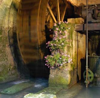 Orges Bed & Breakfast | Moulin de la Fleuristerie