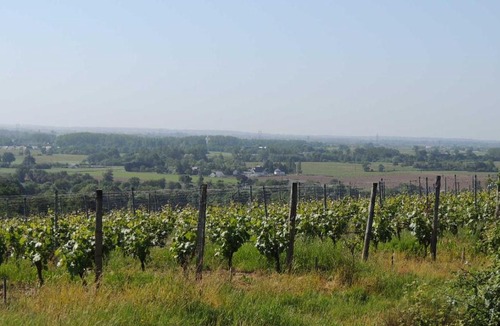 Faye-d'Anjou Bed & Breakfast | Moulin de la Placette