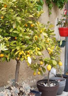 Quincay Apartment | Moulin de Ringère