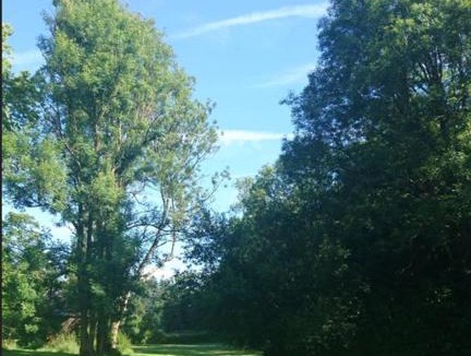 Cerisy-la-Foret Villa | Moulin des Rondelles