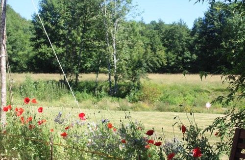 Saint-Jean-de-Cole House | Moulin du pirrou gite de charme