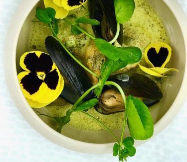 Mosnac Hotel | Moulin du Val de Seugne