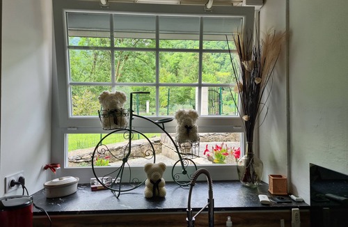 Louvie Juzon House | Moulin "lou Mouli Dous Amisc"