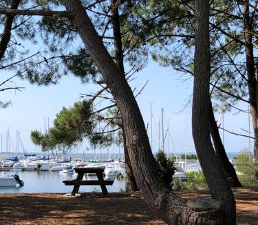 Hourtin Port Apartment | Moulis