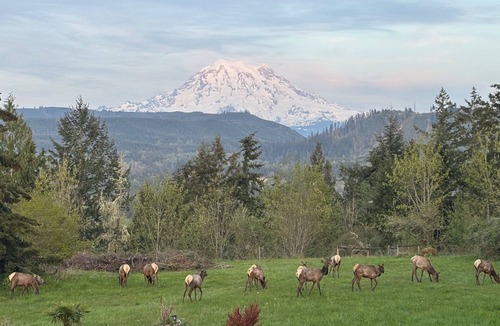 Fort Lewis House | Mount rainier wonderful views