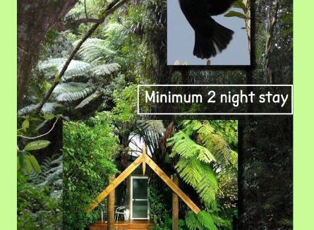 Ohauiti Bed & Breakfast | Mount Tutu Eco-Sanctuary
