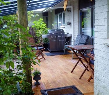 Ohauiti Bed & Breakfast | Mount Tutu Eco-Sanctuary