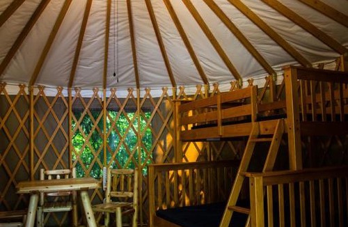 Bow Resort | Mount Vernon Camping Resort 16 ft. Yurt 8