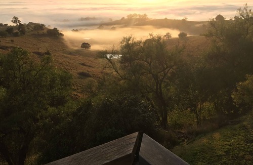 Mount View Cabin | Mount View Lodges - Hunter Valley - 1 Bed