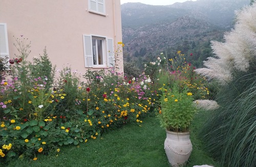 Calacuccia Apartment | Mountain apartment in Cuccia.