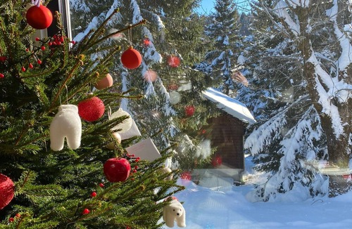 Paroisse des Monts de Bienne Ski Chalet | Mountain chalet near Geneva