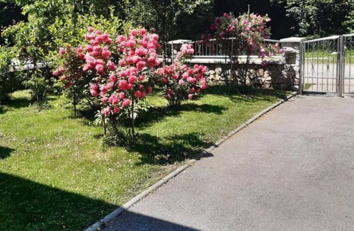Delnice Apartment | Mountain Flower Apartment - Three Bedroom Apartment With Terrace