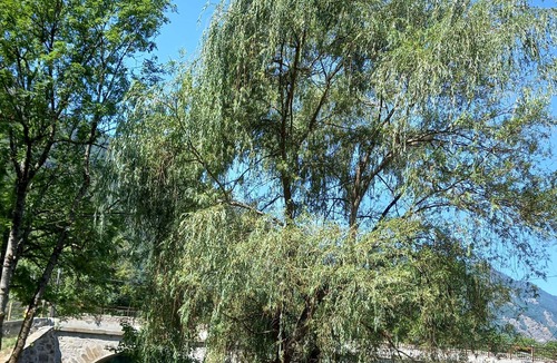 Savignac-les-Ormeaux House | Mountain house with garden