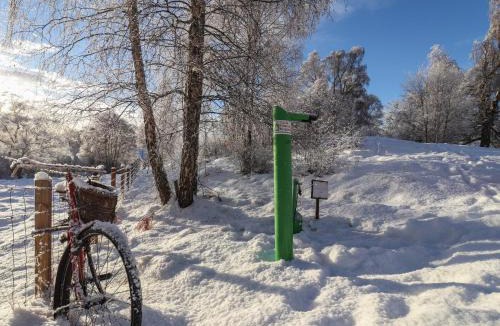 Alvie Apartment | Mountain Hare Apartment