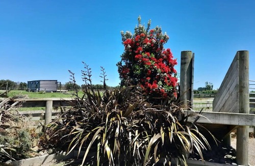 Normanby Cabin | Mountain Haven