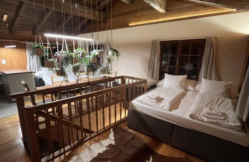 Boenigen House | Mountain Homes - Outpost Studio