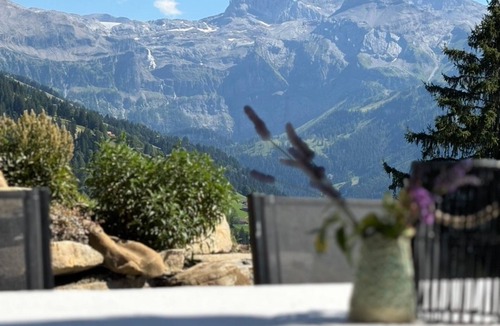 Lenk House | Mountain hut "Waldweid" with mountain view