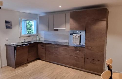 Wilderswil Apartment | Mountain-Lake Apartment 2
