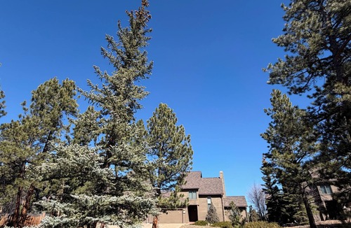 Red Feather Lakes House | Mountain & Lake Views: A Getaway Nestled in Evergreen Trees & Golf Community.