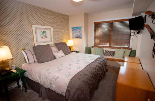 Ludlow Apartment | Mountain Lodge at Okemo-1Br Fireplace & Updated Kitchen condo