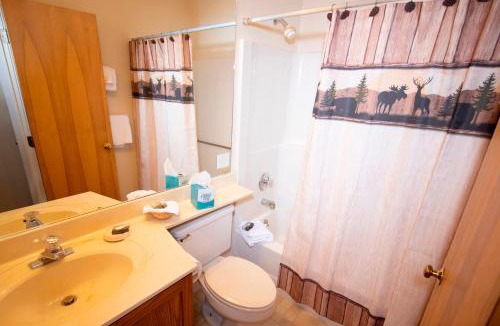 Ludlow Apartment | Mountain Lodge at Okemo-1Br Fireplace & Updated Kitchen condo