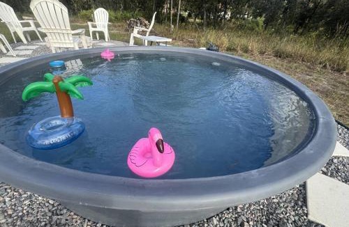 Brooksville House | Mountain Plover Plunge Pool Haus
