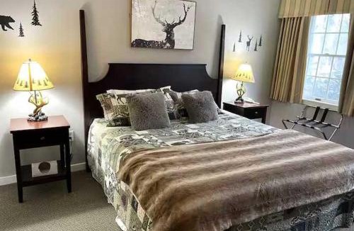 Hancock Apartment | Mountain Relaxation Suite at Jiminy Peak-Ski On Off- Sleeps 4 - All Season Fun