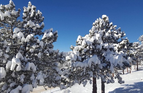 Nederland Apartment | Mountain sanctuary! A Sweet Suite above Nederland, Colo.