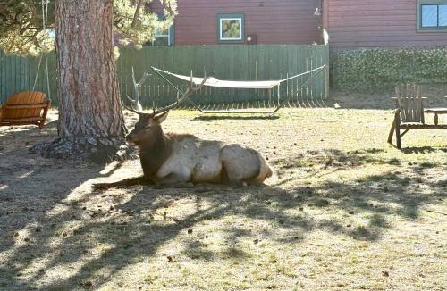 Estes Park Resort | Mountain Shadows Resort