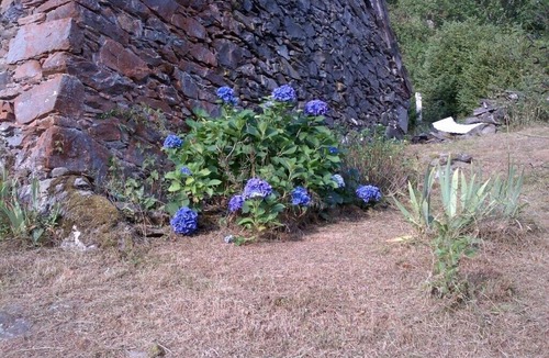 Borce House | MOUNTAIN SHEEPFOLD