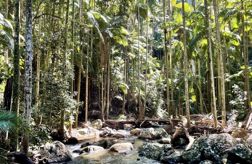 Eagle Heights Apartment | Mountain Studio