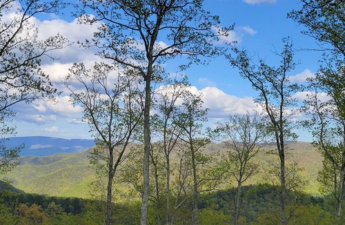 Covington Cabin | Mountain Top Cabin