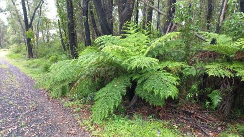Mount Tomah House | Mountain Tranquility