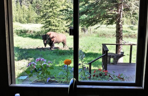 Cooke City-Silver Gate House | Mountain View House Right on Soda Butte Creek