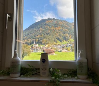 Schattdorf Apartment | Mountain View Apartment