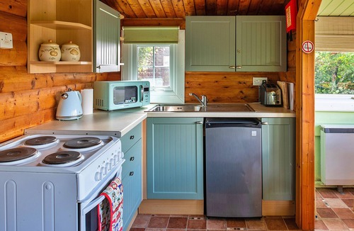 Bronaber Cabin | Mountain View