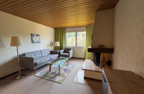 Soerenberg Apartment | Mountain View Lodge