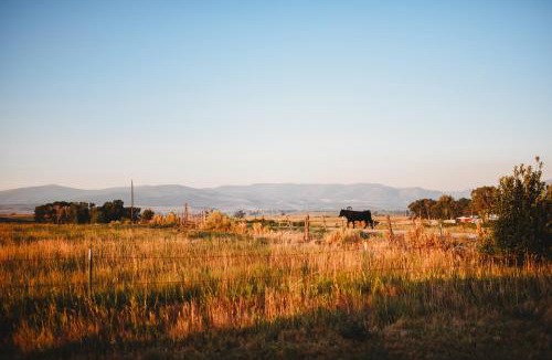 Ryan Park House | Mountain-View Log Cabin in Wyoming Wilderness