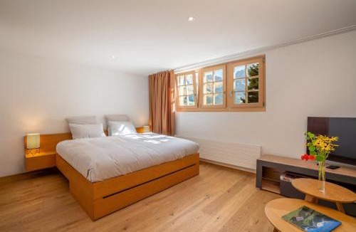 Adelboden Apartment | Mountain View Studio Adelboden Next to Gondola & Spa