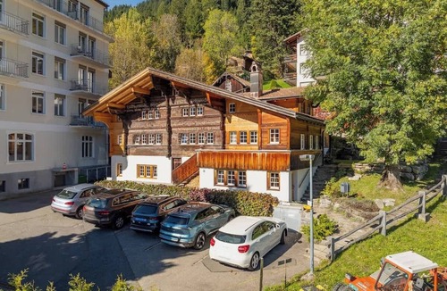 Adelboden Apartment | Mountain View Studio Adelboden|Gondola & Spa