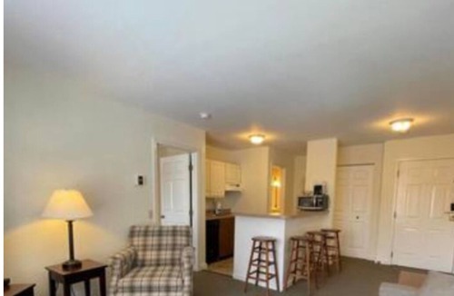 Hancock Apartment | Mountainside Condo Ski In Ski Out