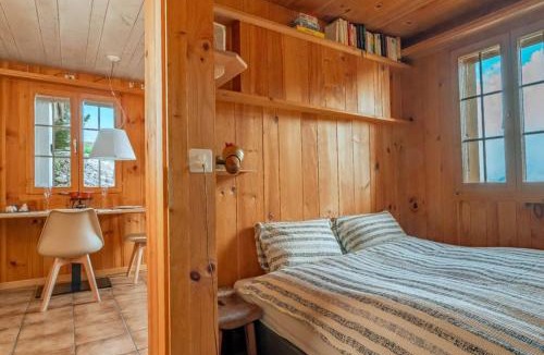 Axalp Apartment | Mountainview Fireplace & Garden Bbq