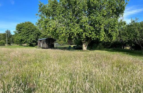 Willesborough Apartment | Mountbatten Shepherds hut & Buckhurst Shepherds hut