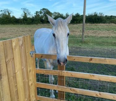 Thirsk House | Mowbray Stable Cottages