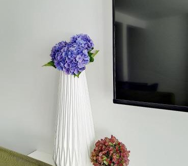 Basse-Goulaine Apartment | MOYÏ