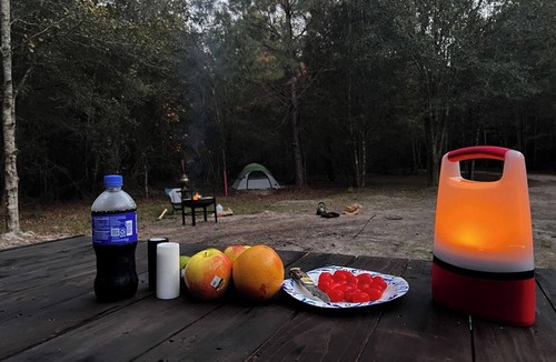 Tallahassee RV Rental | Mr. Waffles tent glamping Farmstay
