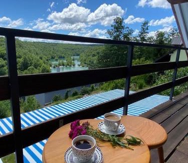 Generalski Stol Apartment | Mrežnica - Zelena oaza II