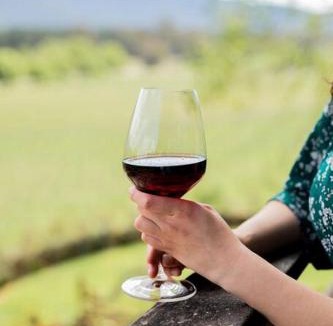 Porepunkah Apartment | Mt Buffalo View Apartment