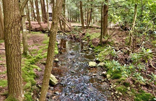 Pocono Pines Ski Chalet | Mt. Maplewood Split Lodge